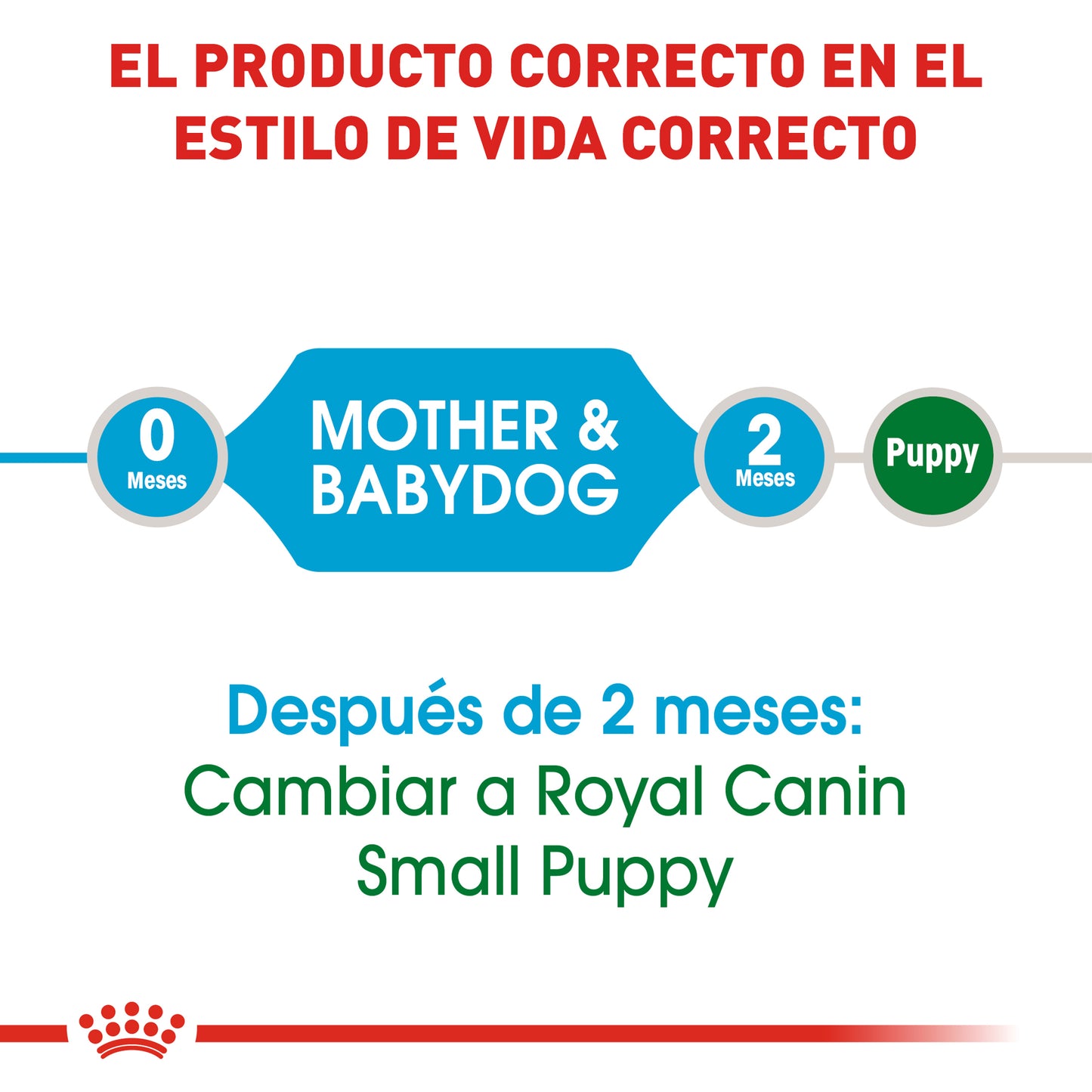 Small Starter Mother & Babydog
