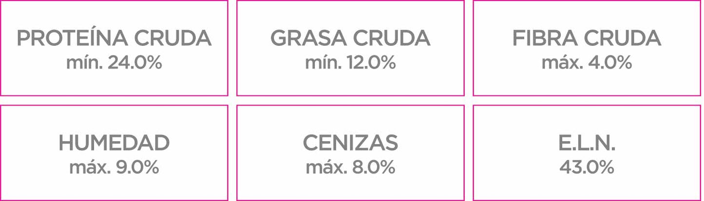 Adulto Raza Pequeña