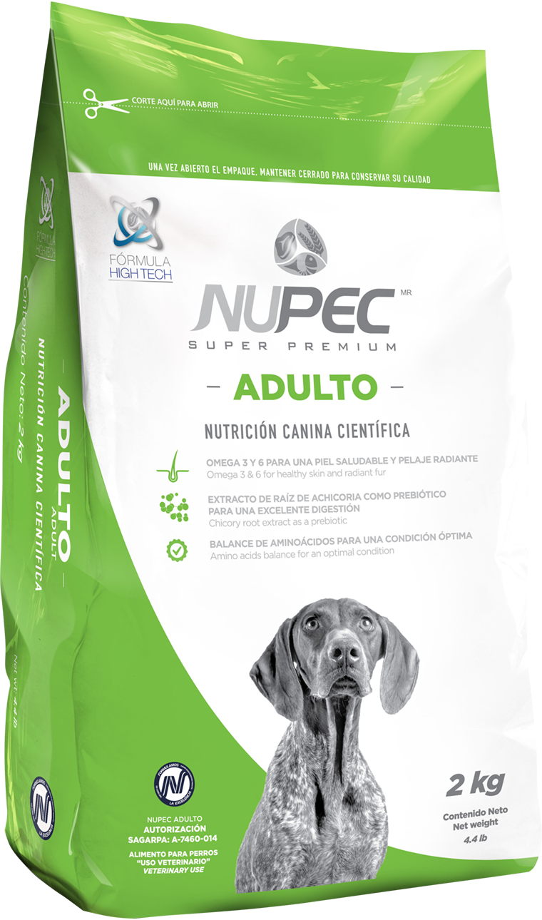 Adulto