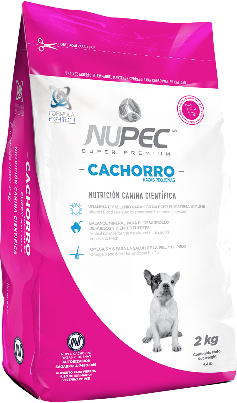 Cachorro Raza Pequeña