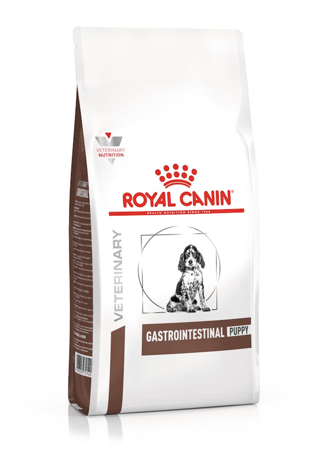 Gastro-Intestinal Puppy