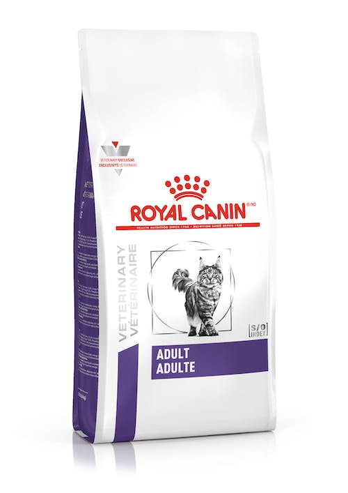 Royal Canin Adult Feline Front