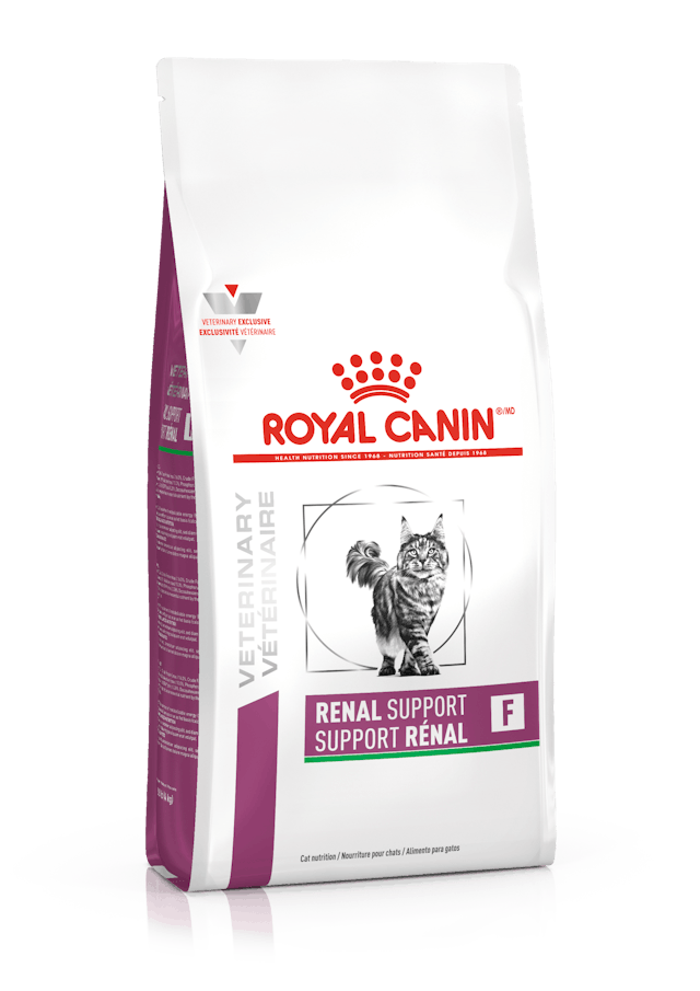 Royal Canin Renal Support F Feline Front