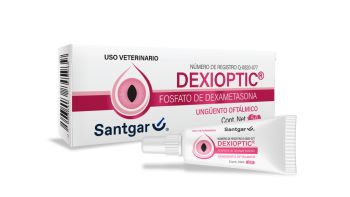 Dexioptic
