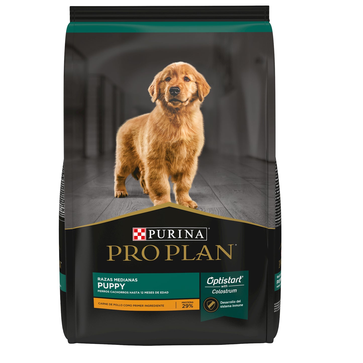 Puppy Raza Mediana