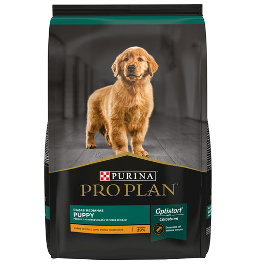 Puppy Raza Mediana