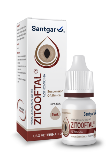Zitooftal