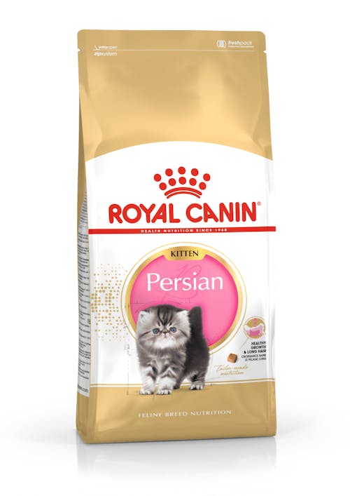 Royal Canin Persa Cachorro Front