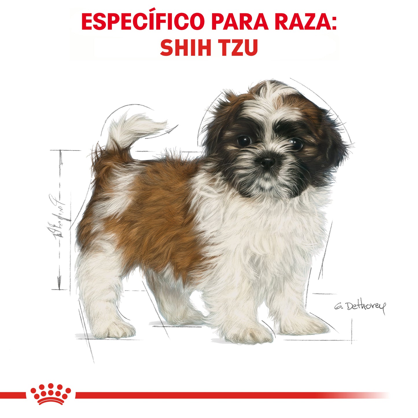 Royal Canin Shih Tzu Cachorro